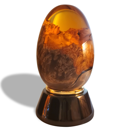 Orange Dragon Egg